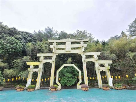 禪機山 仙佛寺|禪機山仙佛寺｜南投國姓景點/必拍五百羅漢IG拍照景 